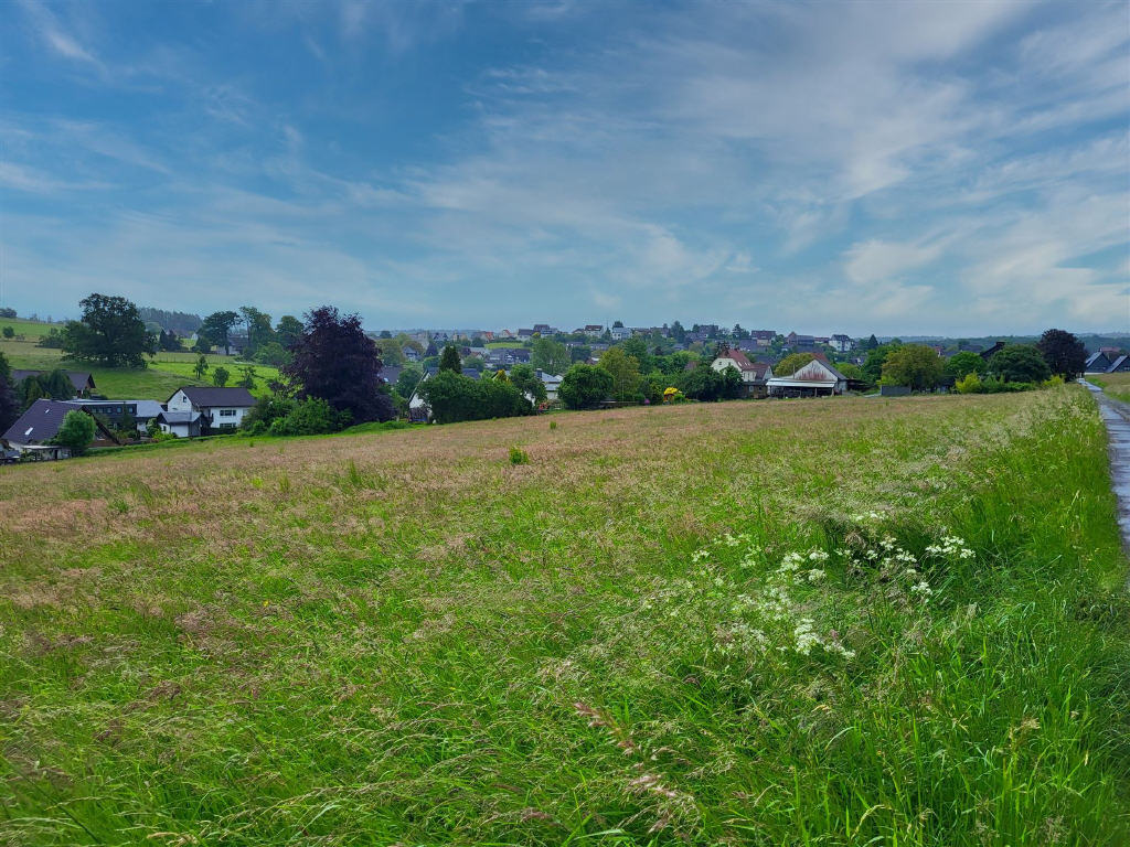 Land-/Forstwirtschaft zum Kauf 193.580 € 9.679 m²<br/>Grundstück Wennigloh Arnsberg-Wennigloh 59821