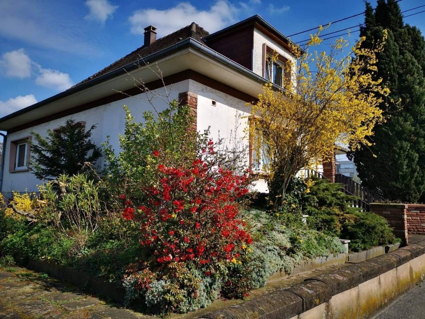 Einfamilienhaus zum Kauf 580.000 € 10 Zimmer 300 m² 647 m² Grundstück rue de la Piscine Nord Ouest Bischwiller 67240