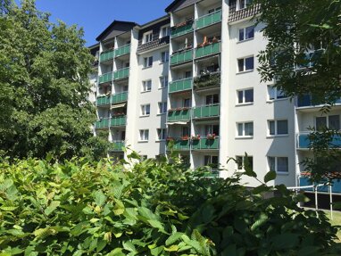 Wohnung zur Miete 350 € 3 Zimmer 56 m² 1. Geschoss Ernst-Schneller-Straße 45 Heidenau 01809