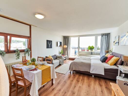 Studio zum Kauf provisionsfrei als Kapitalanlage geeignet 79.000 € 53 m² Am Predigtstuhl 2 Sankt Englmar 94379