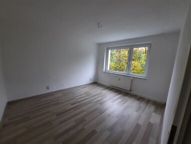 Wohnung zur Miete 335 € 3 Zimmer 55,3 m² Erdgeschoss M.-A.-Nexö-Straße 12 Lauchhammer - Mitte Lauchhammer 01979