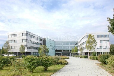 Büro-/Praxisfläche zur Miete Provisionsfrei 8.633 m² Bürofläche teilbar ab 29 m² Niehl Köln 50735