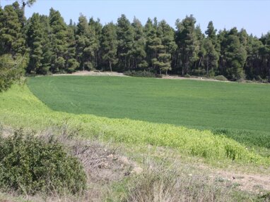 Land-/Forstwirtschaft zum Kauf 300.000 € 8.500 m² Grundstück Chalkidiki