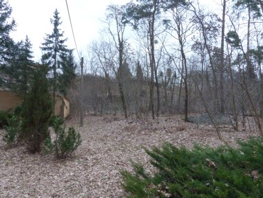 Land-/Forstwirtschaft zum Kauf 10 € 33 m² Grundstück Am Blankensee o. Nr. Stangenhagen Trebbin 14959
