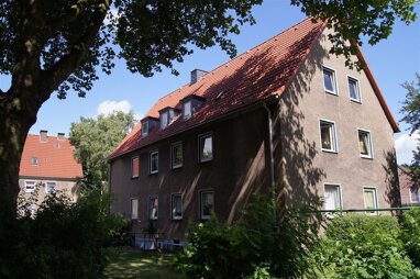 Wohnung zur Miete 386,05 € 3 Zimmer 63 m² 1. Geschoss Wiesenstraße 23 Baukau - West Herne 44653