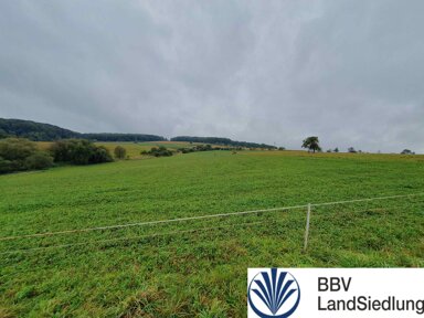 Landwirtschaftliche Fläche zum Kauf 42.000 m² 42.000 m² Grundstück Hösbach Hösbach 63768