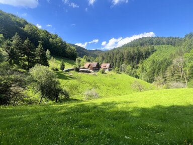 Einfamilienhaus zum Kauf 11 Zimmer 348 m² 38.095 m² Grundstück Walke Oberwolfach 77709