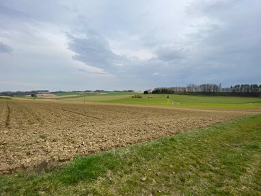 Land-/Forstwirtschaft zum Kauf 24.050 m² Grundstück Landau Landau an der Isar 94405