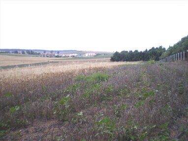 Land-/Forstwirtschaft zum Kauf 110.000 € 4.370 m² Grundstück Chalkidiki