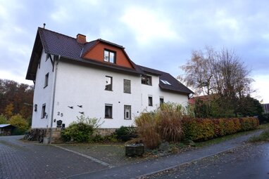 Mehrfamilienhaus zum Kauf 11 Zimmer 2.301 m² Grundstück Elbenberg Naumburg 34311