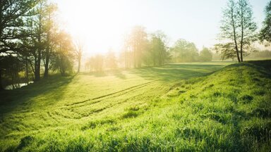 Land-/Forstwirtschaft zum Kauf provisionsfrei 1.395.000 € 250.000 m² Grundstück Heidhausen Essen 45239