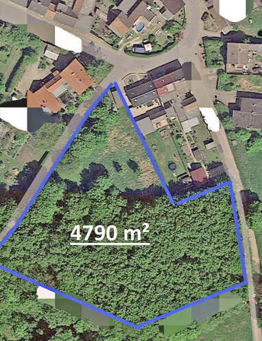 Grundstück zum Kauf 85.000 € 4.790 m² Grundstück Zahna Zahna-Elster 06895