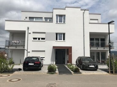 Apartment zur Miete nur mit Wohnberechtigungsschein 545 € 2 Zimmer 57,1 m² Erdgeschoss Orli-Torgau-Straße 37 Feyen 1 Trier 54296