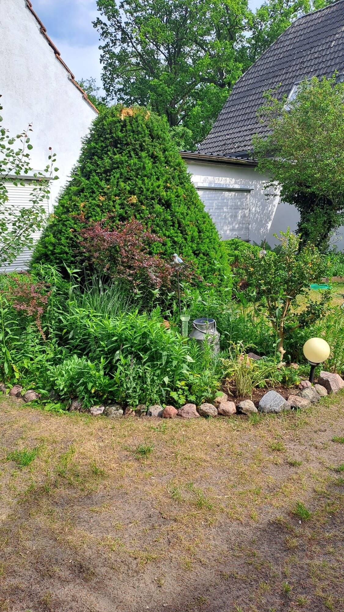 Immobilie in Kremmen - Gemütliches Einfamilienhaus mit Platzreserven - Bild 1