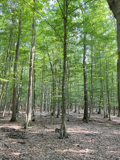 Land-/Forstwirtschaft zum Kauf 9.140.000 m² Grundstück Lucenec 984 01