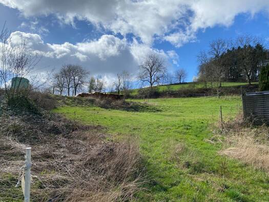 Grundstück zum Kauf 180.000 € 504 m² Grundstück Löhrbach Birkenau 69488