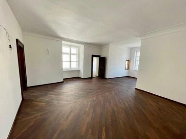 Wohnung zum Kauf 312.500 € 2 Zimmer 125,2 m² 1. Geschoss Donaugasse 12 Vilshofen Vilshofen an der Donau 94474
