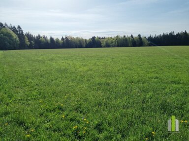 Landwirtschaftliche Fläche zum Kauf 395.000 € 38.465 m² Grundstück Obertrum am See 5162