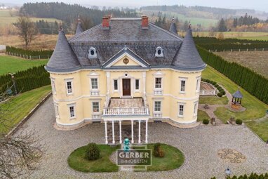 Schloss zum Kauf 1.950.000 € 8 Zimmer 355 m² 4.005 m² Grundstück Ziegelacker - Hofeck Hof 95030