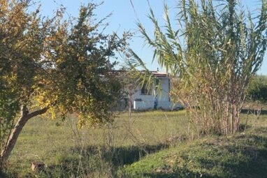 Bauernhaus zum Kauf 43.000 € 3 Zimmer 80 m² 8.000 m² Grundstück Rociana del Condado 21720
