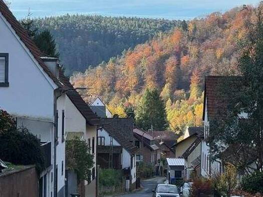 Wohnung zum Kauf 180.000 € 4 Zimmer 97 m² Neidenfels 67468