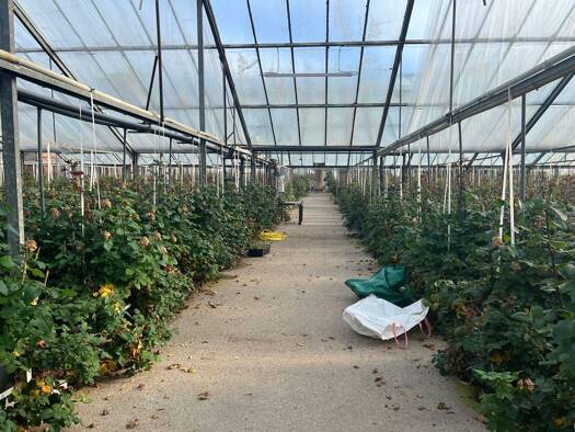 Produktionshalle zum Kauf 799.000 € 4.415 m² Lagerfläche Bendingbostel Kirchlinteln 27308