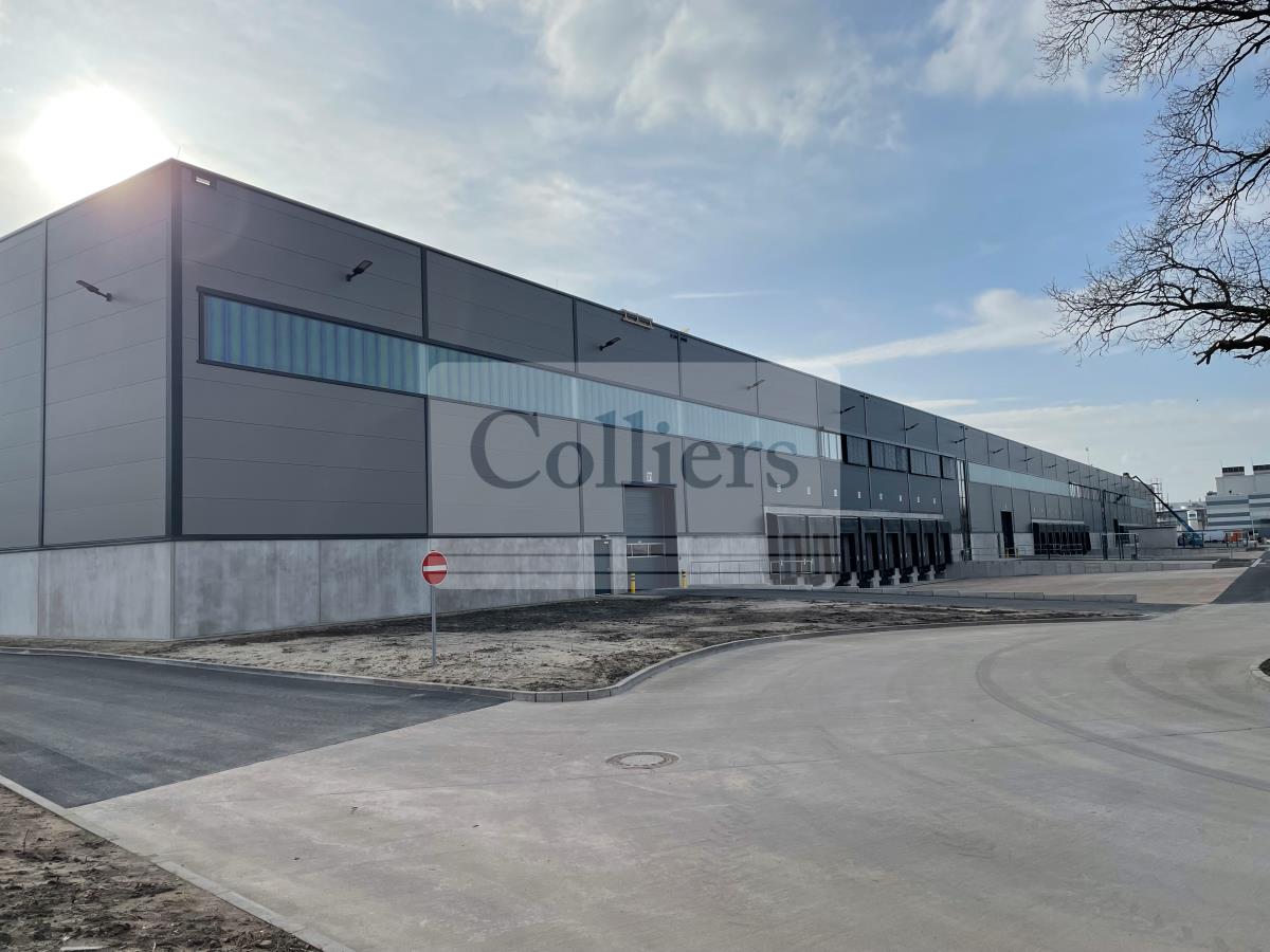 Halle/Industriefläche zur Miete 6,25 € 23.530 m²<br/>Lagerfläche ab 7.814 m²<br/>Teilbarkeit Gifhorn Gifhorn 38518