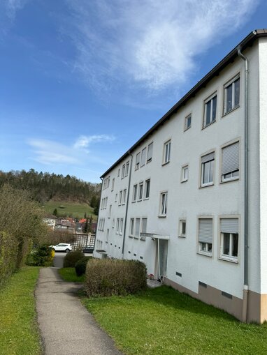 Wohnung zur Miete 500 € 2 Zimmer 42,6 m² 2. Geschoss Tuttlingen Tuttlingen 78532