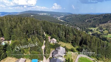 Grundstück zum Kauf 320.000 € 2.425 m² Grundstück Falkau Feldberg 79868