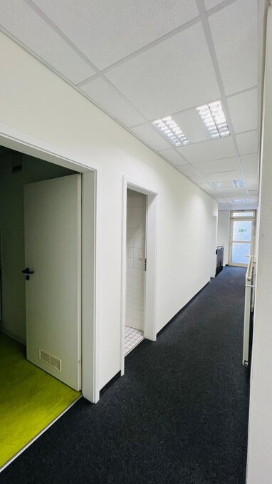Bürofläche zur Miete 273 m² Bürofläche Ludwigstraße 67-69 Mitte / Stadtbezirk 111 Ludwigshafen 67059