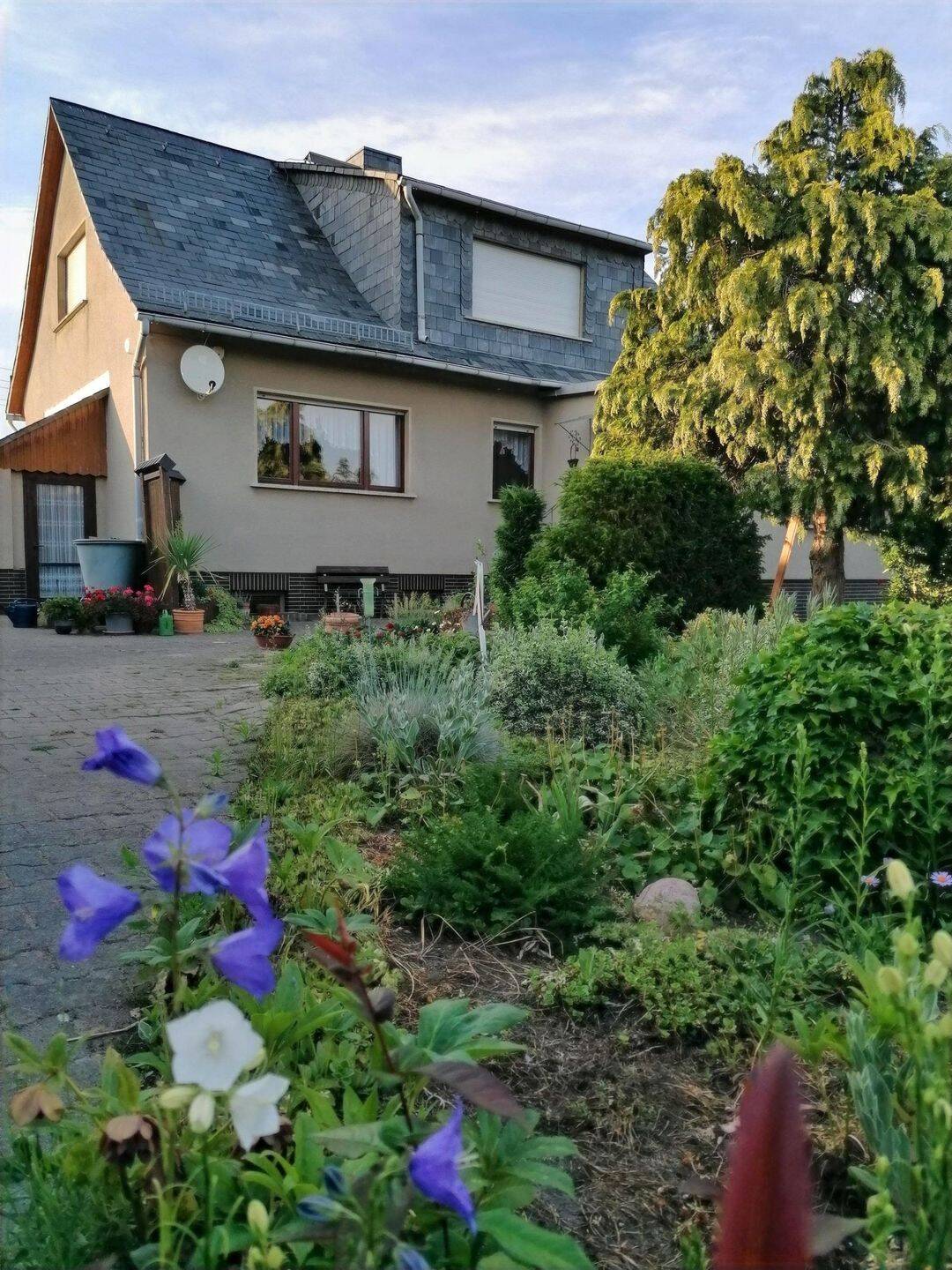 Immobilie in Osterburg (Altmark) - Viel Platz - viel Leben - Bild 3