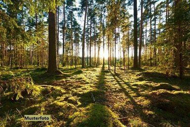 Land-/Forstwirtschaft zum Kauf 78.100 € 47.800 m² Grundstück Poppenreuther Mühle Münchberg 95213