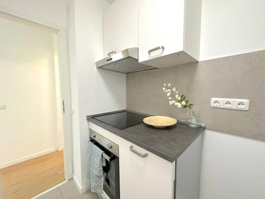 Wohnung zur Miete 440 € 1 Zimmer 15 m² EG frei ab sofort Gartenstadt Ludwigshafen am Rhein 67067