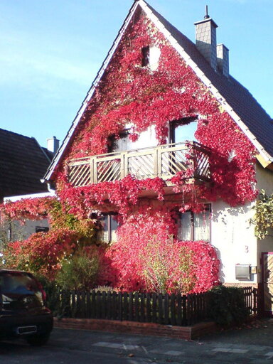 Einfamilienhaus zum Kauf provisionsfrei 375.000 € 5 Zimmer 140 m² 499 m² Grundstück Haßloch 67454