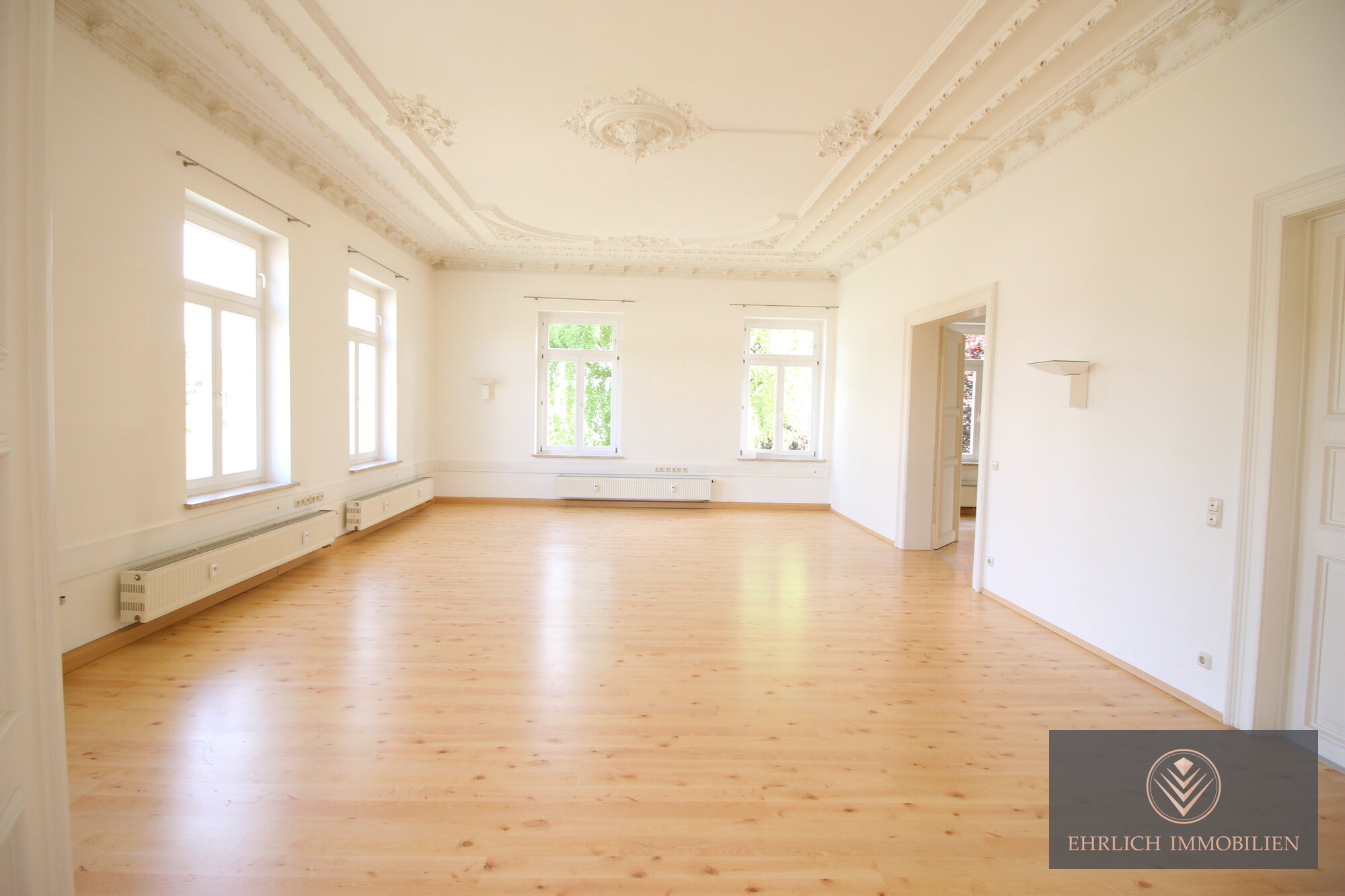 Wohnung zur Miete 790 € 4 Zimmer 170,7 m²<br/>Wohnfläche Am Jahnteich 7 Oelsnitz Oelsnitz/Vogtland 08606