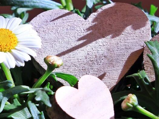 Doppelhaushälfte zum Kauf 440.902 € 5 Zimmer 131 m² 230 m² Grundstück Ickern Castrop Rauxel 44577