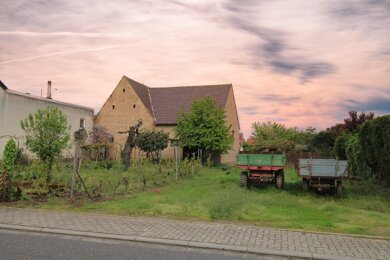 Grundstück zum Kauf 725.000 € 1.193 m² Grundstück frei ab sofort Heiligenstein Römerberg 67354