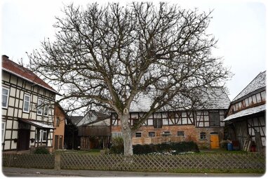Bauernhaus zum Kauf 149.000 € 8 Zimmer 200 m² 1.910 m² Grundstück Wega Bad Wildungen 34537