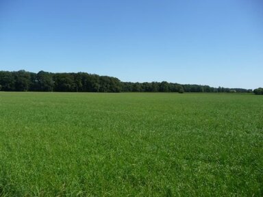 Einfamilienhaus zum Kauf 467.256 m² Grundstück Badbergen Badbergen 49635