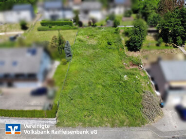 Grundstück zum Kauf 64.000 € 964 m² Grundstück Bausendorf Bausendorf 54538