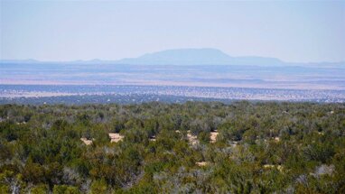 Grundstück zum Kauf 97.000 € 161.874 m² Grundstück Saint Johns / Arizona 85936