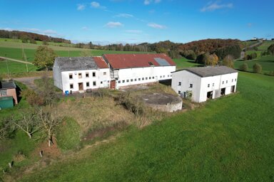 Bauernhaus zum Kauf 149.000 € 4 Zimmer 151 m² 3.000 m² Grundstück frei ab sofort Üttfeld 54619