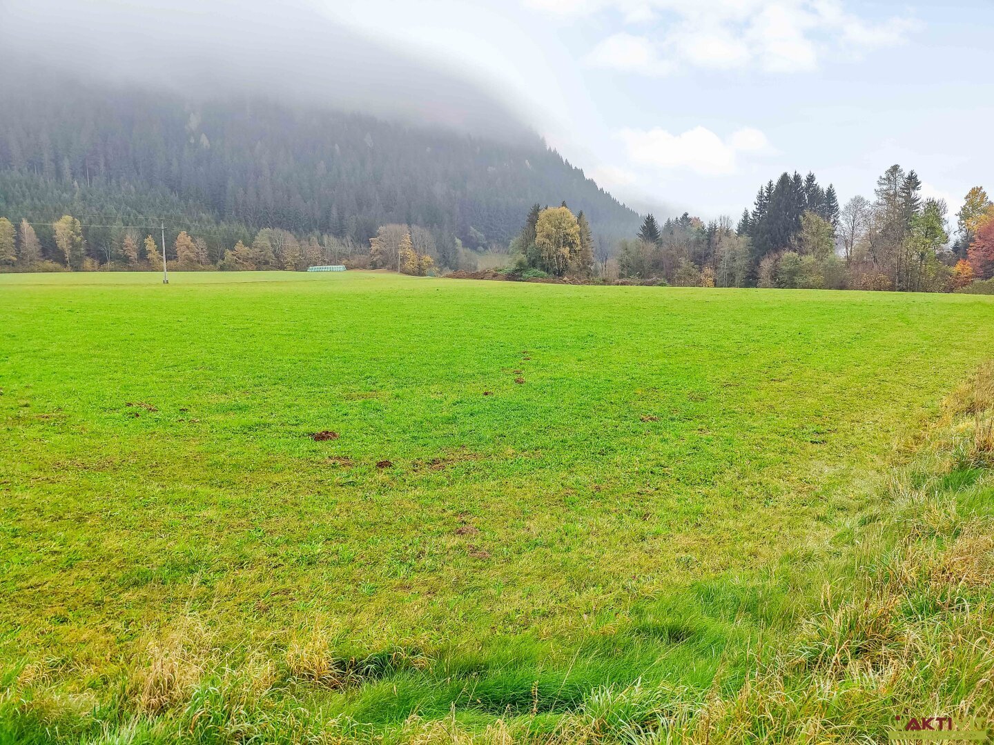 Gewerbegrundstück zum Kauf 436.000 € 8.900 m²<br/>Grundstück Feldkirchen in Kärnten 9560