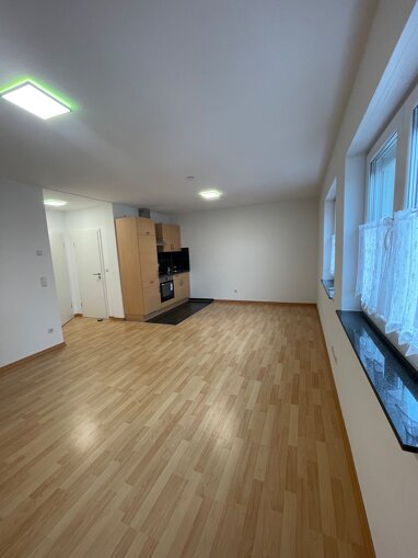 Apartment zur Miete 450 € 1 Zimmer 33 m² Erdgeschoss Irscher Straße 39 Irsch 2 Trier 54296