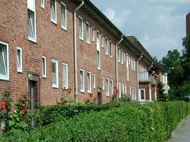 Wohnung zur Miete 245 € 1 Zimmer 28,3 m² 1. Geschoss Quittenstr. 17 Neumühlen - Dietrichsdorf Bezirk 2 Kiel 24149