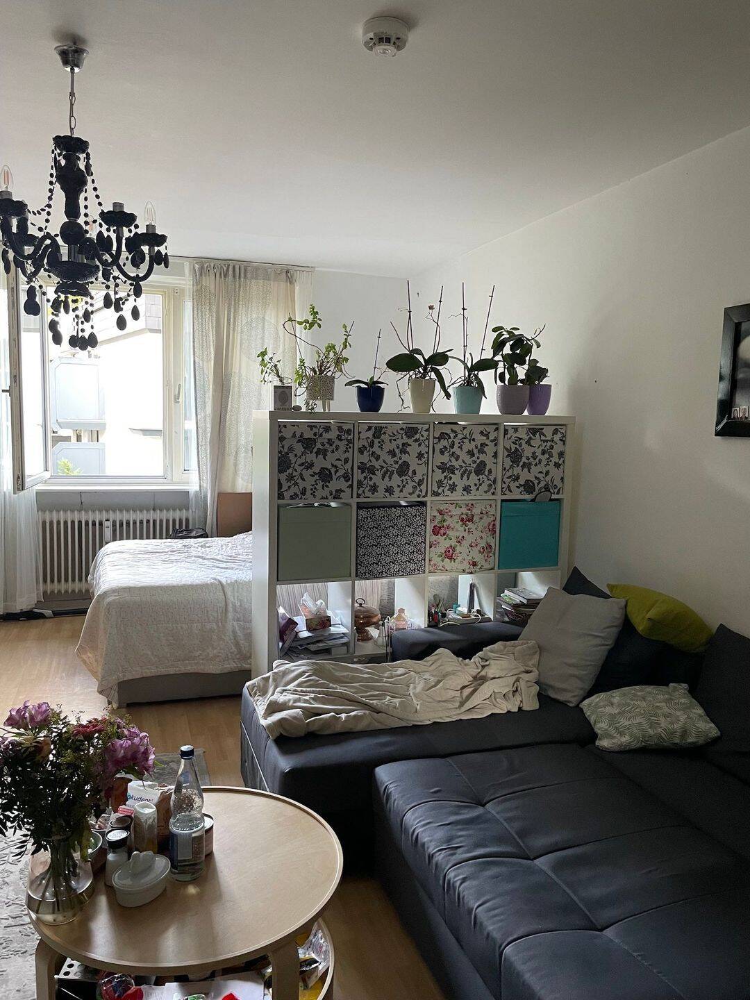 Wohnung zur Miete