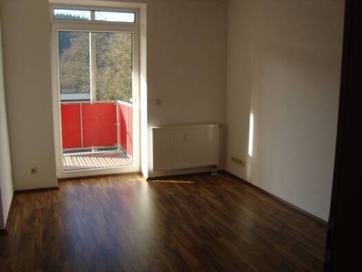 Wohnung zur Miete 240 € 1 Zimmer 39,3 m² 1. Geschoss frei ab sofort Oelsnitz 08606