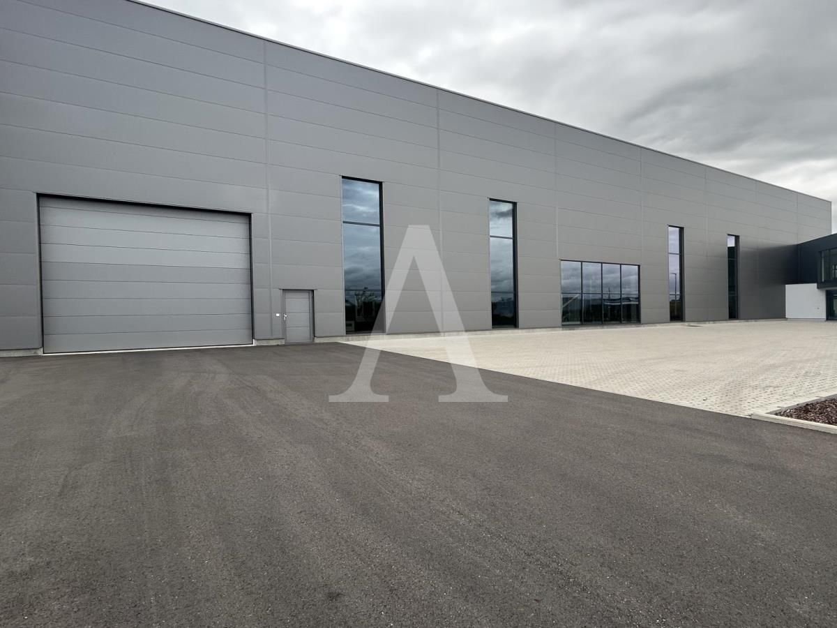 Halle/Industriefläche zur Miete 1.599 m²<br/>Lagerfläche ab 1.599 m²<br/>Teilbarkeit Wesseling / Innenstadt Wesseling 50389