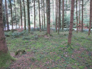 Land-/Forstwirtschaft zum Kauf 55.000 € 5.591 m² Grundstück Hebertsham Eiselfing 83549