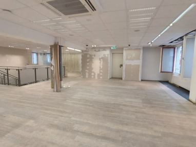 Bürofläche zur Miete 230 m² Bürofläche Innenstadt - Villingen Villingen-Schwenningen 78050